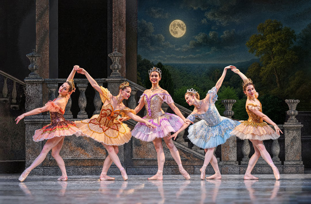 تابلوفرش چاپی طرح دوشیزه کد 2344