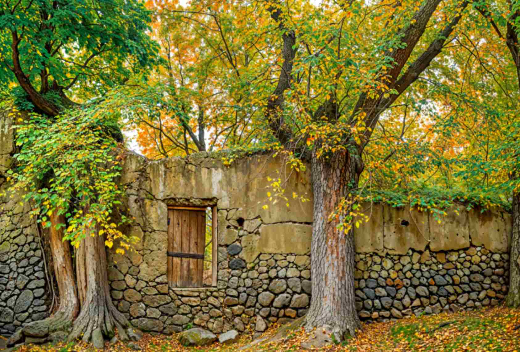 تابلوفرش چاپی طرح منظره کد 4007