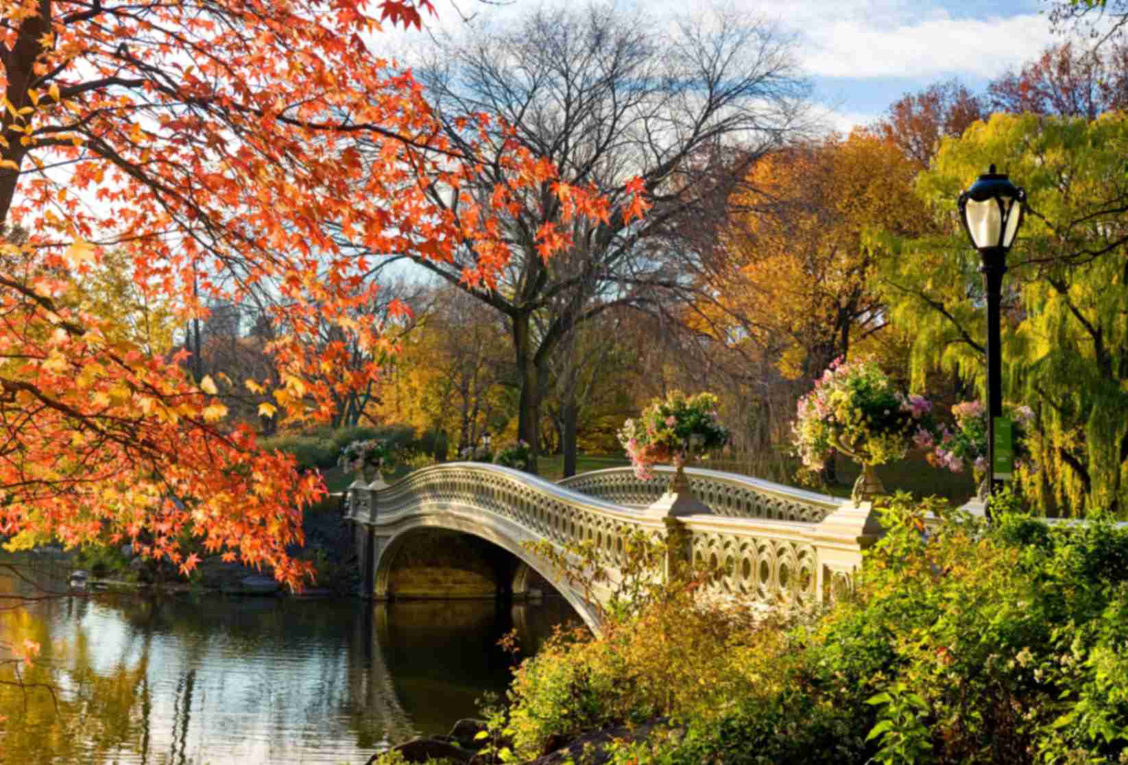 تابلوفرش چاپی طرح منظره کد 4043