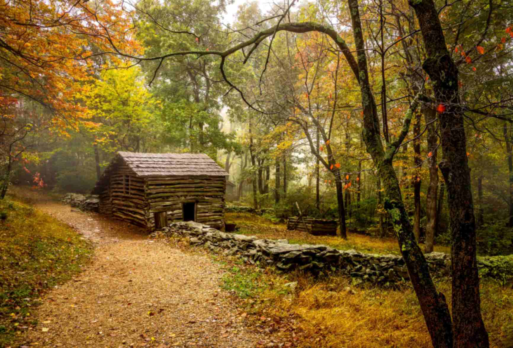 تابلوفرش چاپی طرح منظره کد 4099