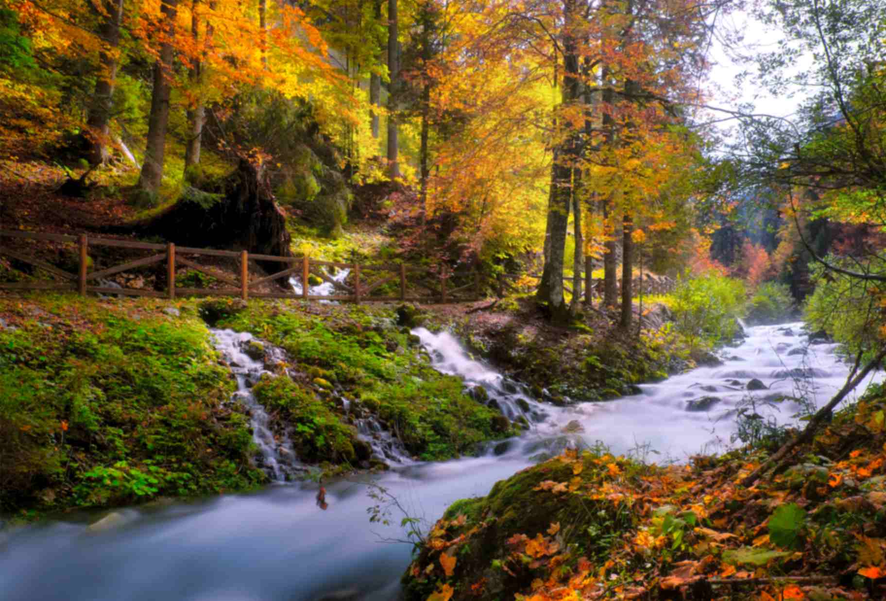 تابلوفرش چاپی طرح منظره کد 4237